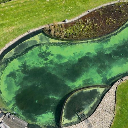 Gites Ferme De La Barriere Шіме Екстер'єр фото